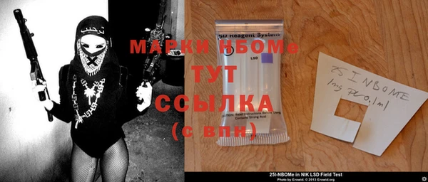дмт Инта