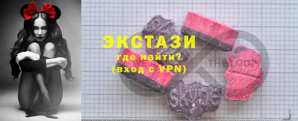 дмт Инта