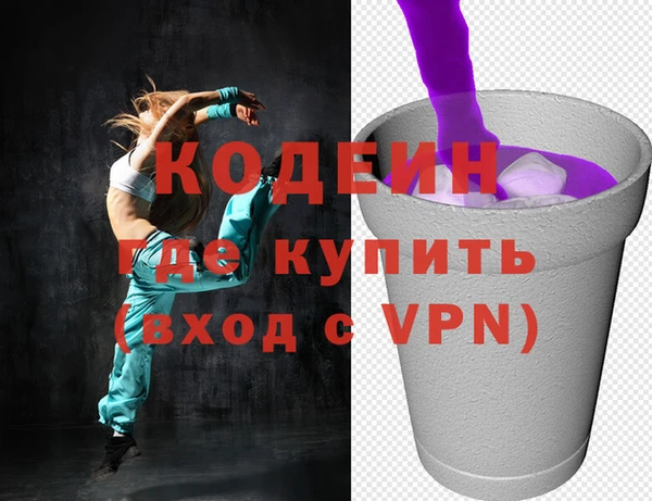 дмт Инта