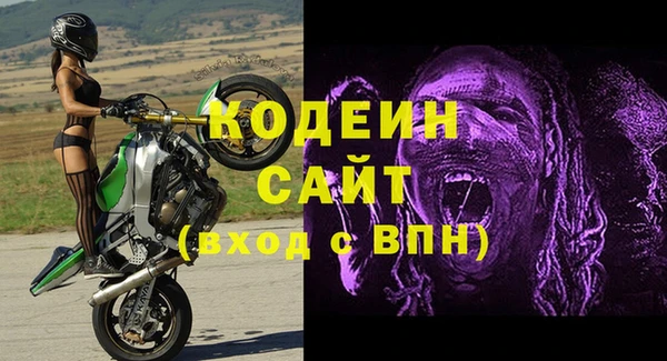 гашик Сосновый Бор
