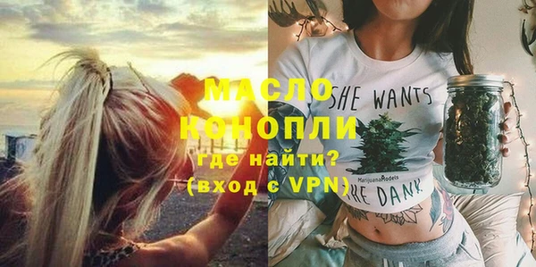 дмт Инта