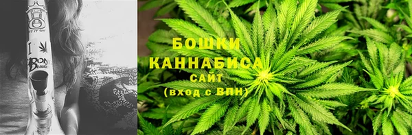 дмт Инта
