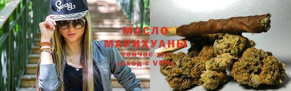 дмт Инта
