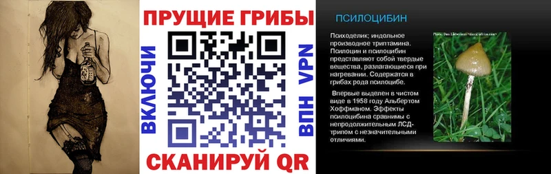 Галлюциногенные грибы Psilocybine cubensis  купить наркотик  Кизилюрт 