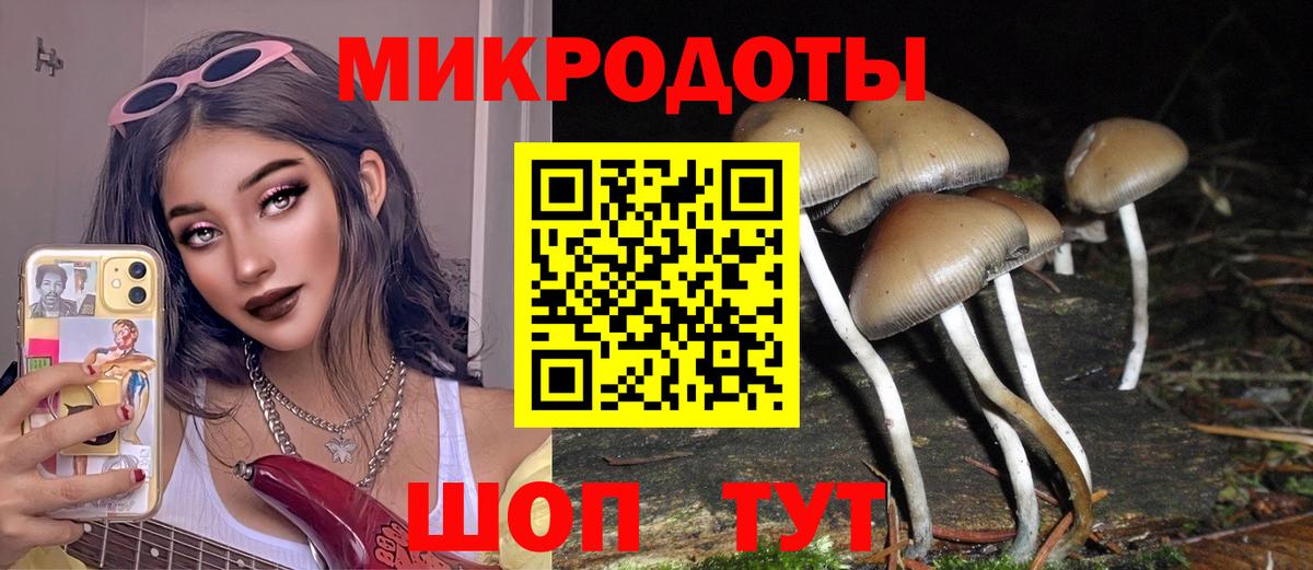 Кизилюрт  Псилоцибиновые грибы MAGIC MUSHROOMS  Вход с VPN 